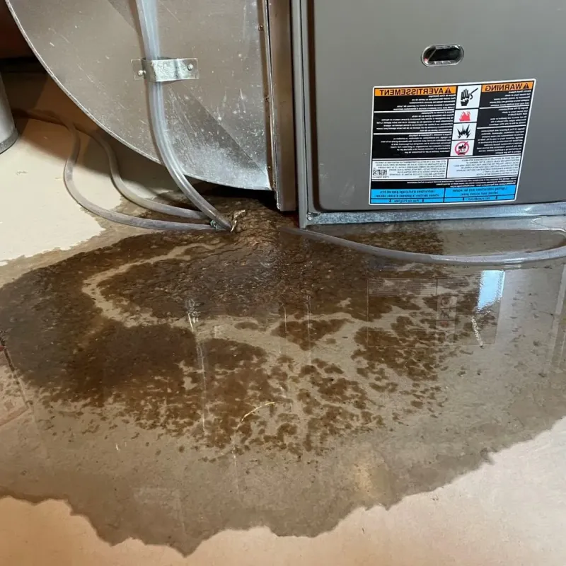 Pipe Burst and Leak Restoration in West Swanzey, NH